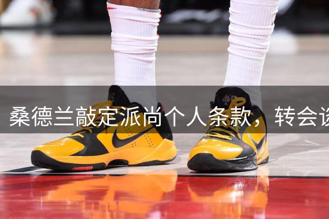 桑德兰敲定派尚个人条款，转会谈判仍在进行