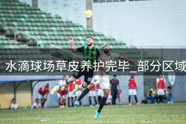 水滴球场草皮养护完毕 部分区域仍存色差问题
